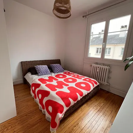 Apartment Bel Tres Lumineux Hyper Centre Le Mans